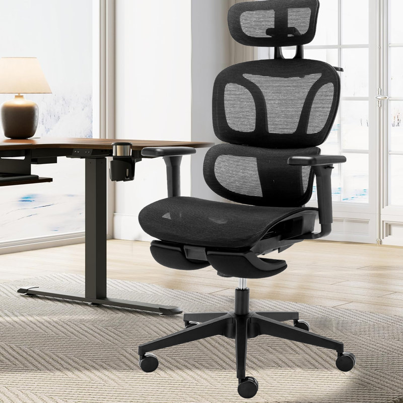 Inbox Zero Ladli Ergonomic Mesh Office Chairs with Cloths Hanger and Footrest Reviews Wayfair